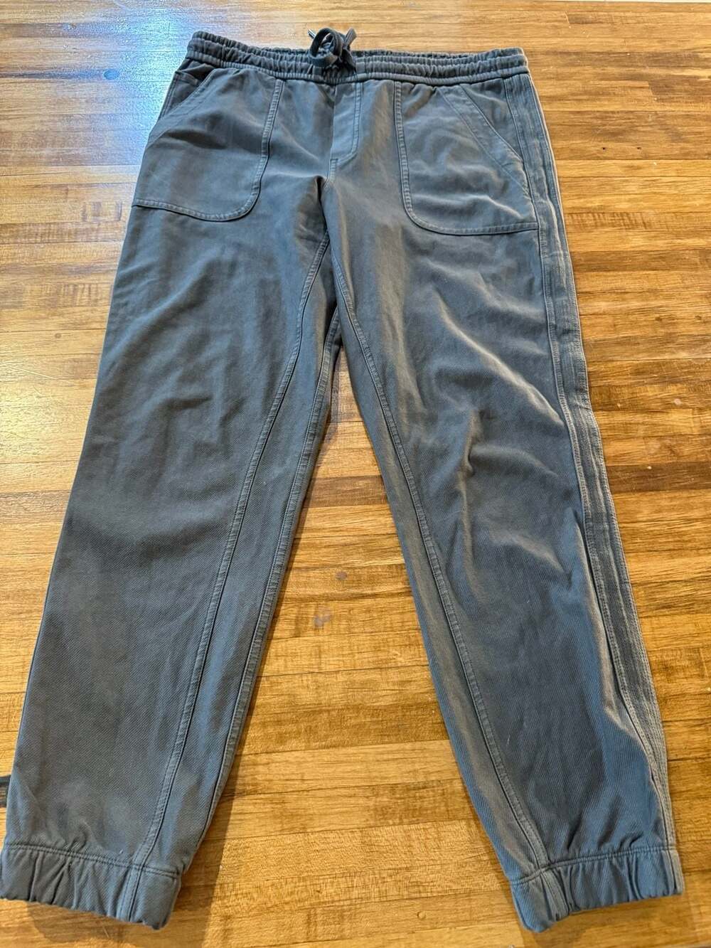 Athleta Farallon Jogger Size 6 (01)